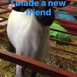 Meet your Posher, James